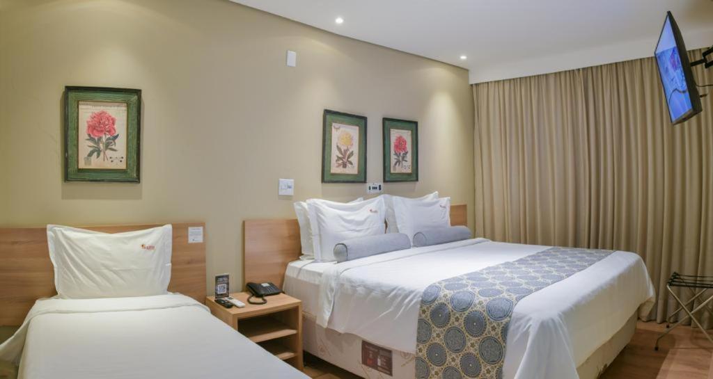 Aracatuba Plaza Hotel Bagian luar foto